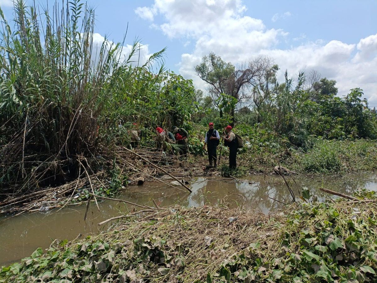 遇难人数升至19人，因强降雨在贾尔isco州造成灾害；在Tonalá市发现一名年轻男子的遗体